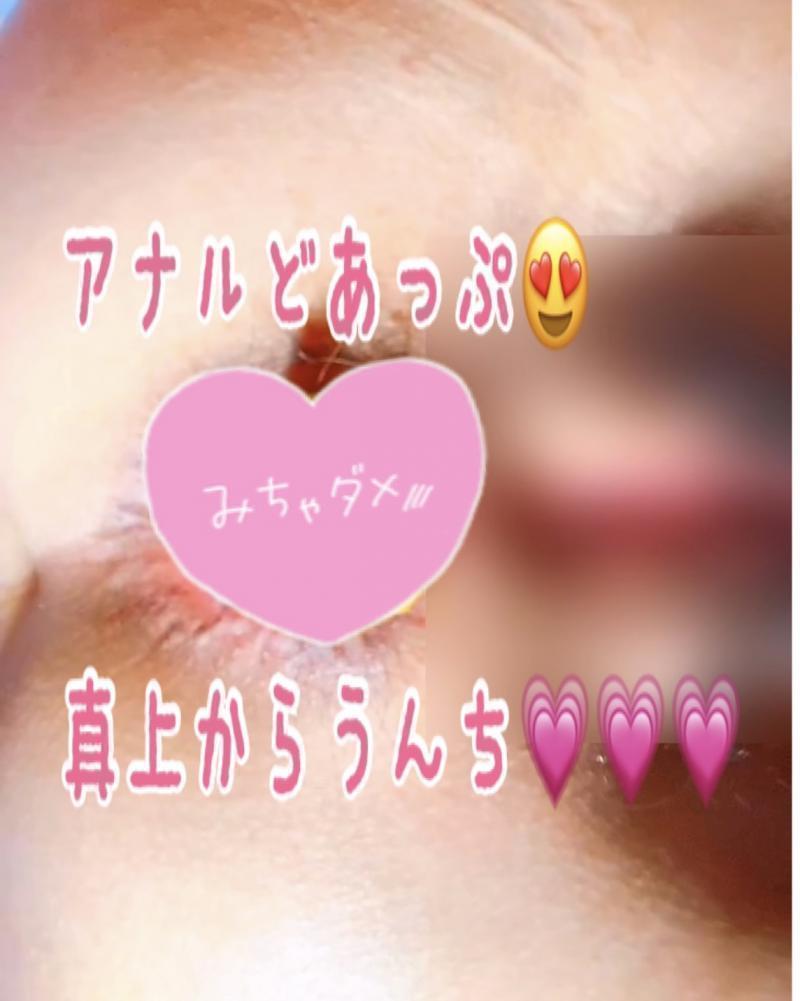 出品者名-写真-1